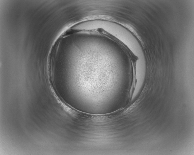 X0000064751046200603031728