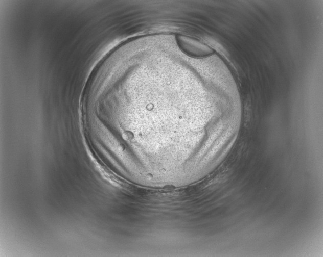 X0000064751047200603031728