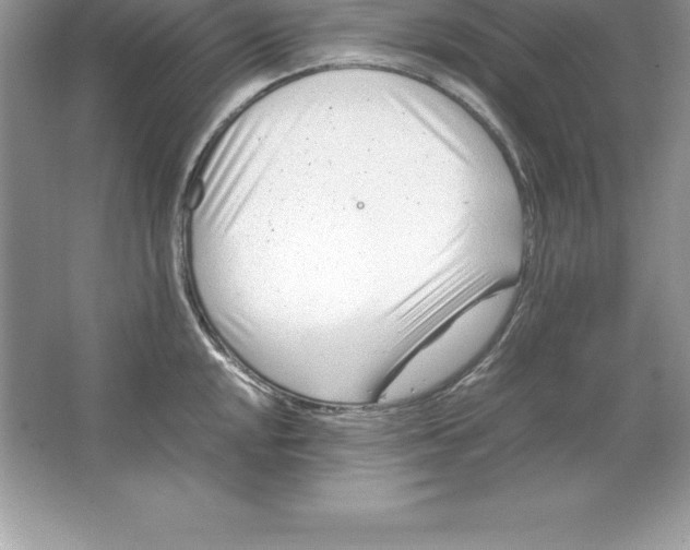 X0000064751048200603031728