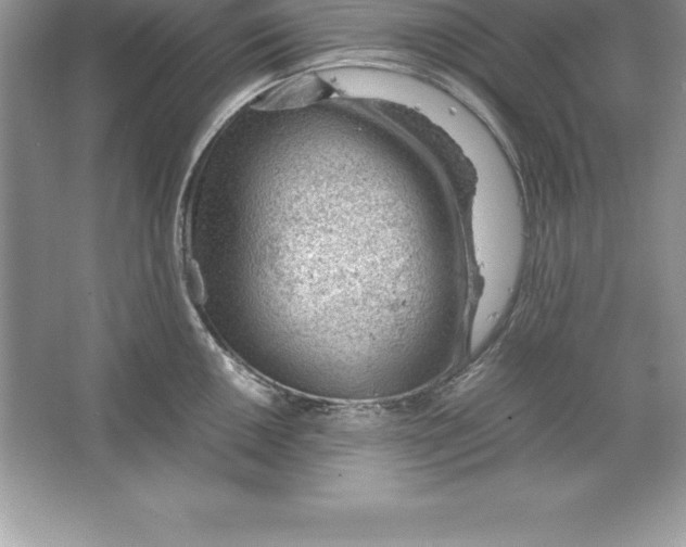 X0000064751050200603031728