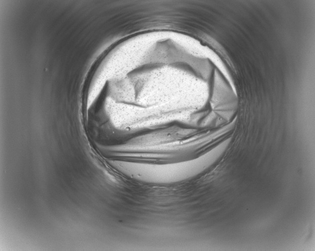 X0000064751051200603031728