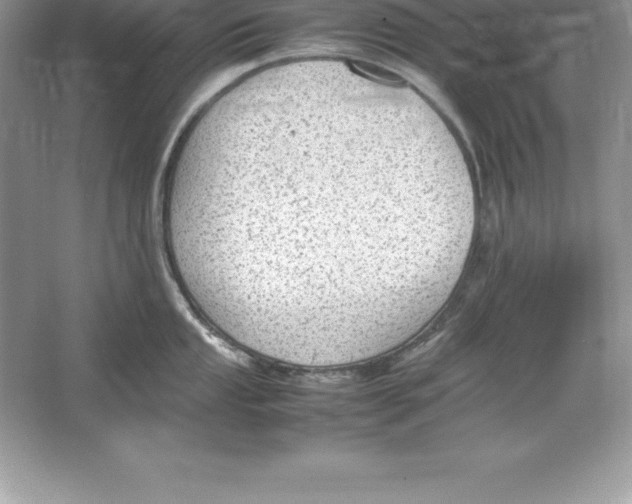 X0000064751053200603031728