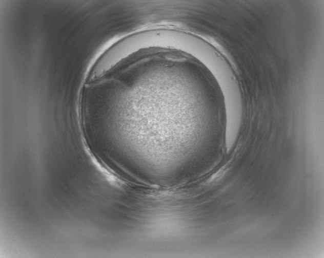 X0000064751054200603031728