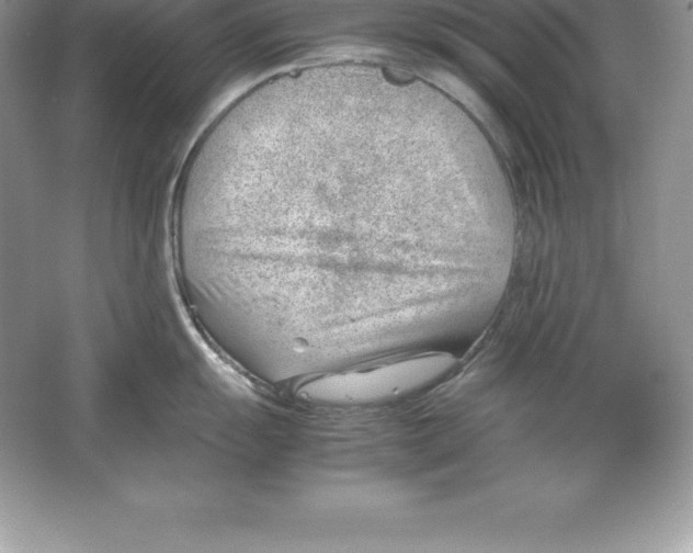 X0000064751055200603031728