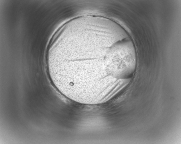 X0000064751056200603031728