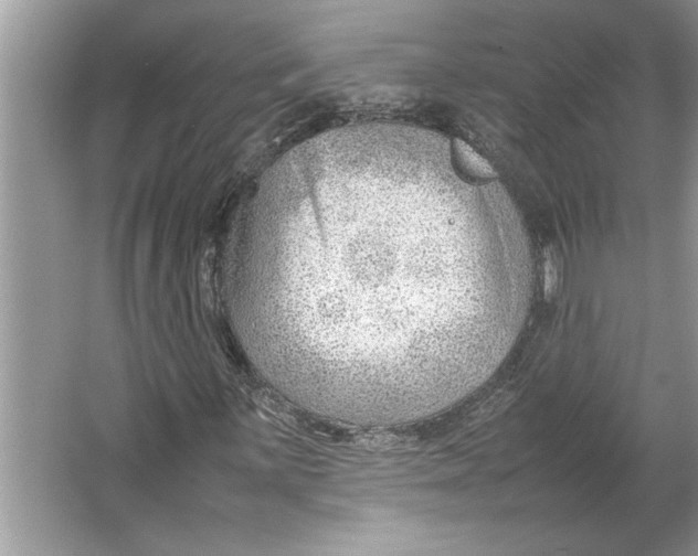 X0000064751059200603031728