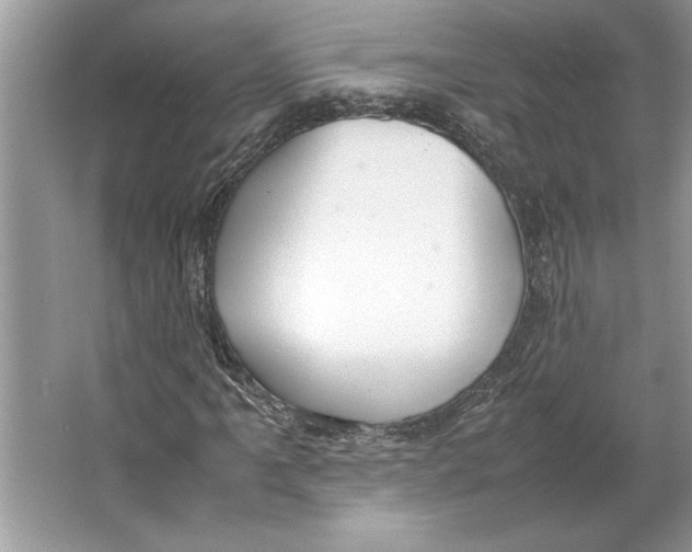 X0000064751061200603031728