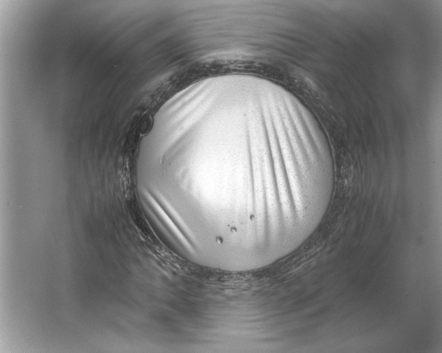 X0000064751062200603031728