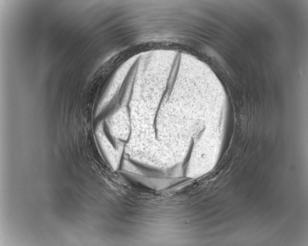 X0000064751064200603031727