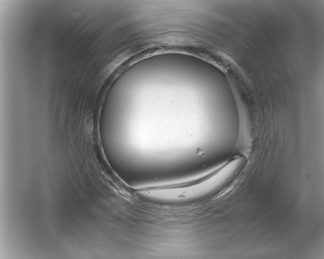 X0000064751065200603031727