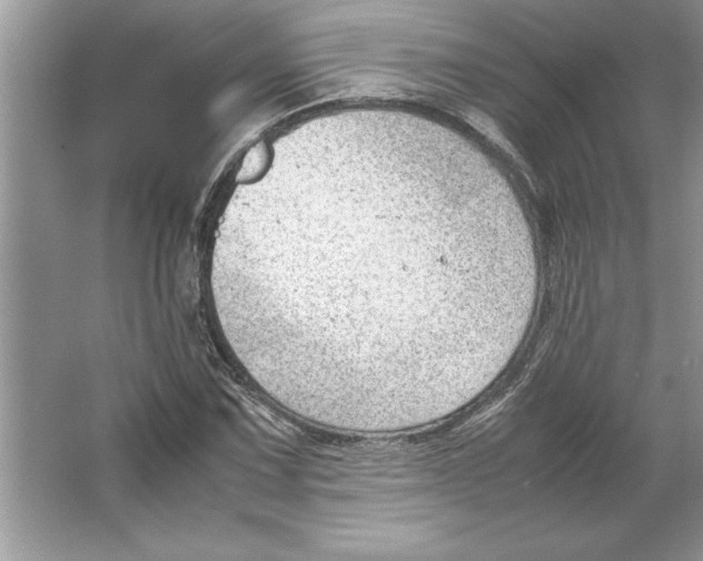 X0000064751067200603031727