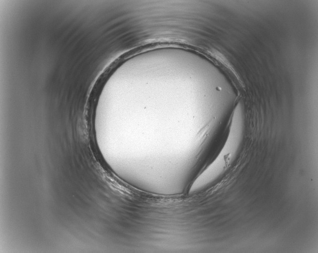 X0000064751068200603031727