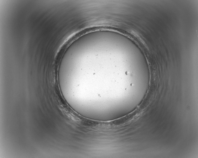 X0000064751069200603031727