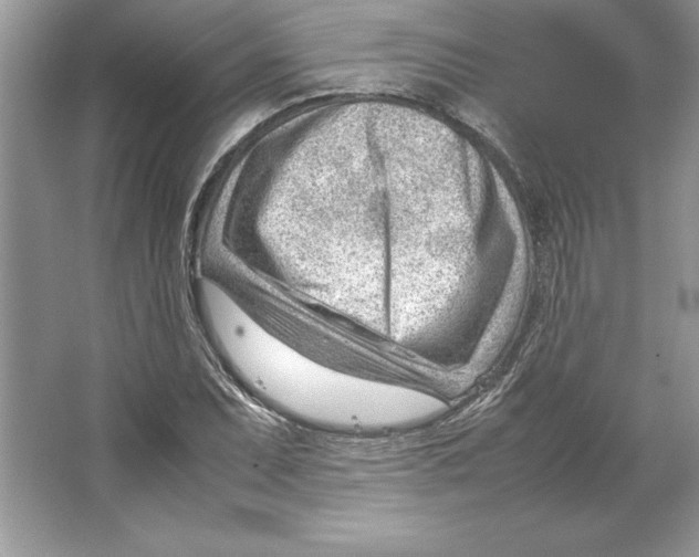 X0000064751071200603031727