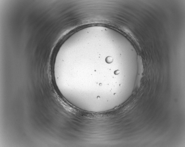 X0000064751072200603031727