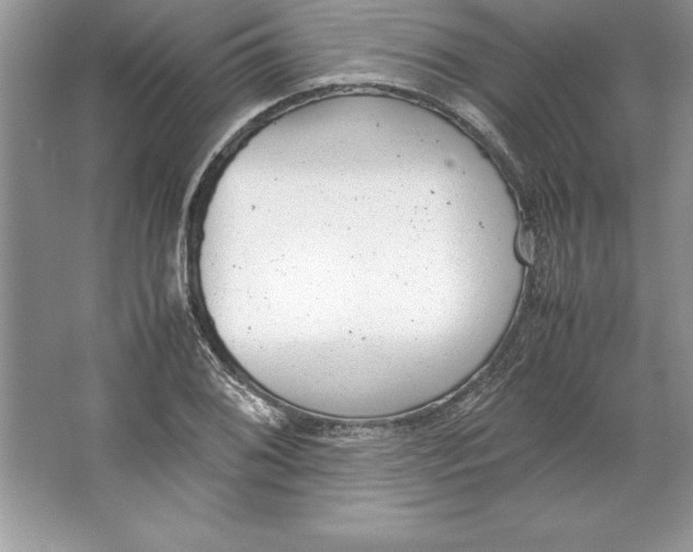 X0000064751076200603031727