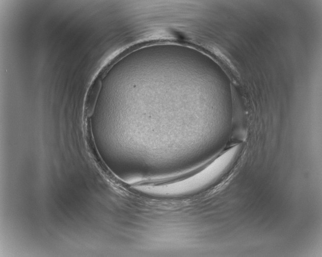 X0000064751077200603031727