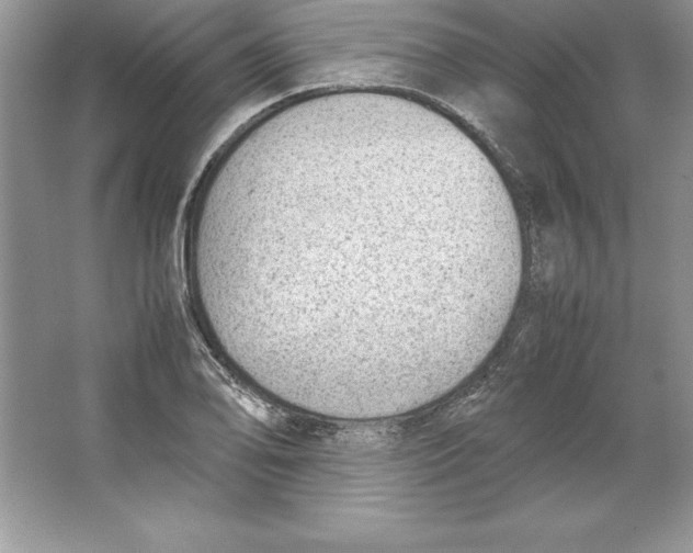 X0000064751078200603031727