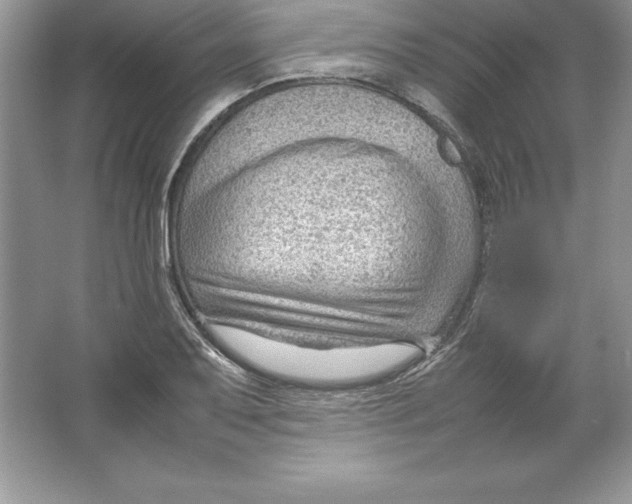 X0000064751079200603031727