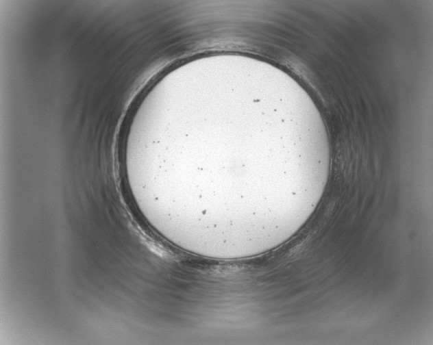 X0000064751082200603031727