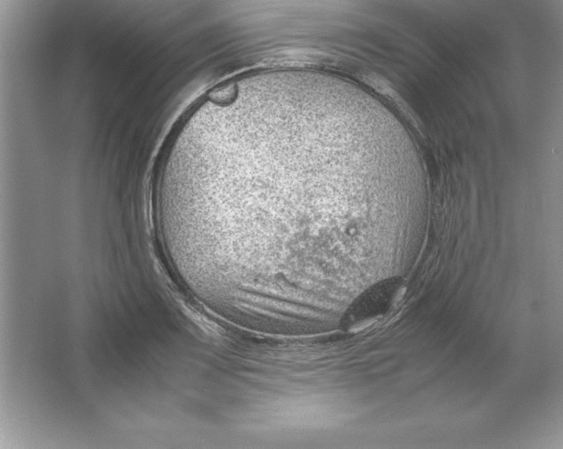 X0000064751083200603031727