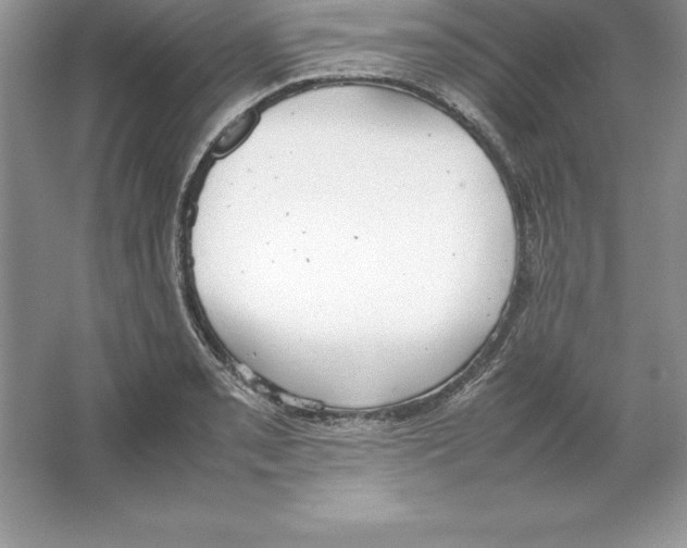 X0000064751085200603031727