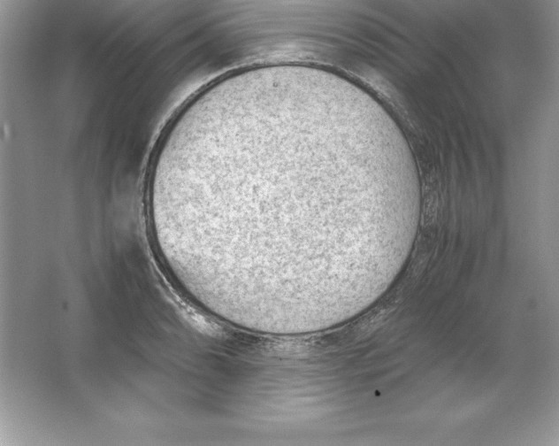 X0000064751086200603031727