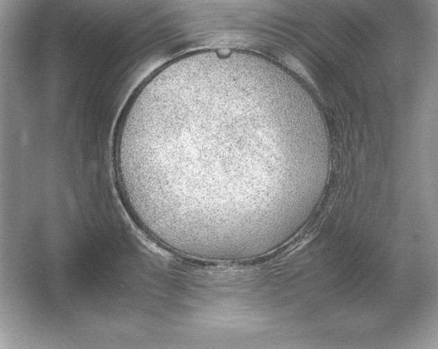 X0000064751087200603031727