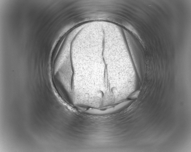 X0000064751088200603031727