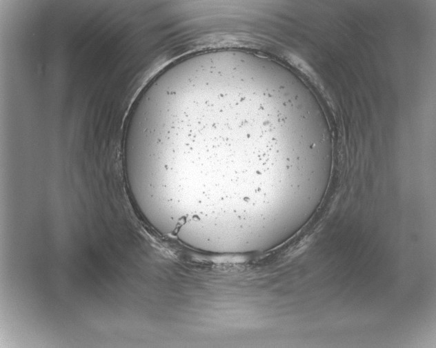 X0000064751089200603031727