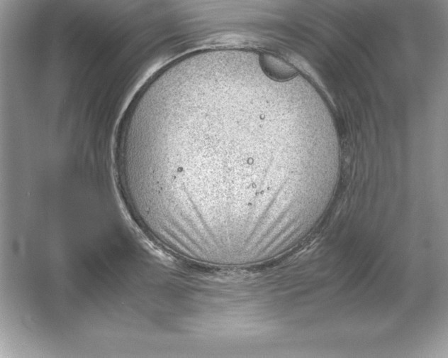 X0000064751091200603031727