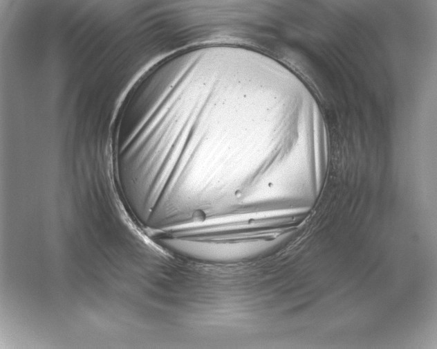 X0000064751092200603031727