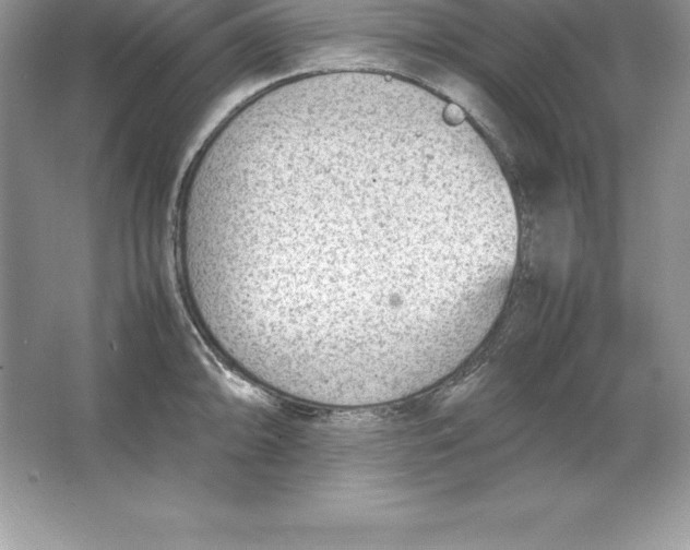 X0000064751094200603031727