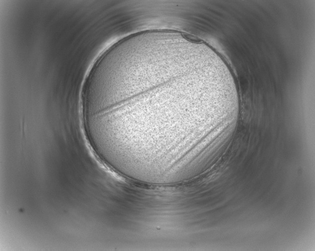 X0000064751096200603031727