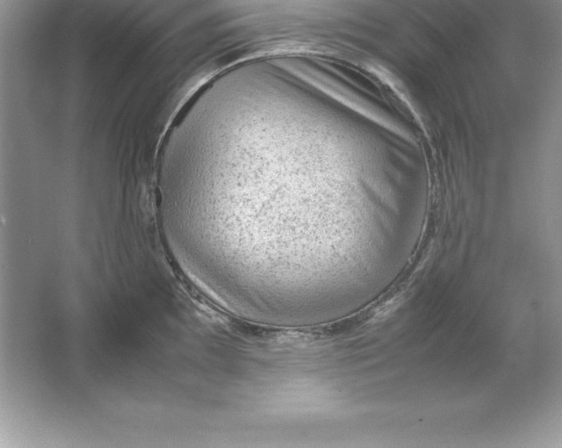 X0000064751097200603031727