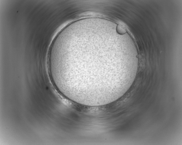 X0000064751098200603031727