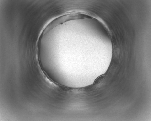 X0000064751102200603031727