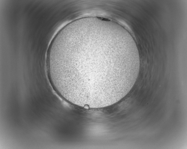 X0000064751103200603031727