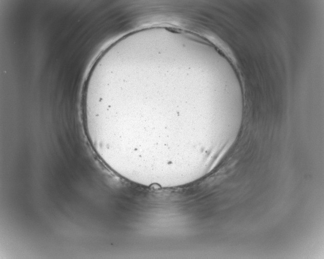 X0000064751104200603031727