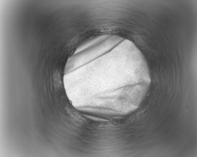 X0000064751106200603031726