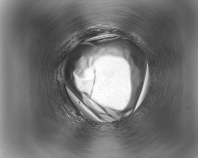 X0000064751110200603031726