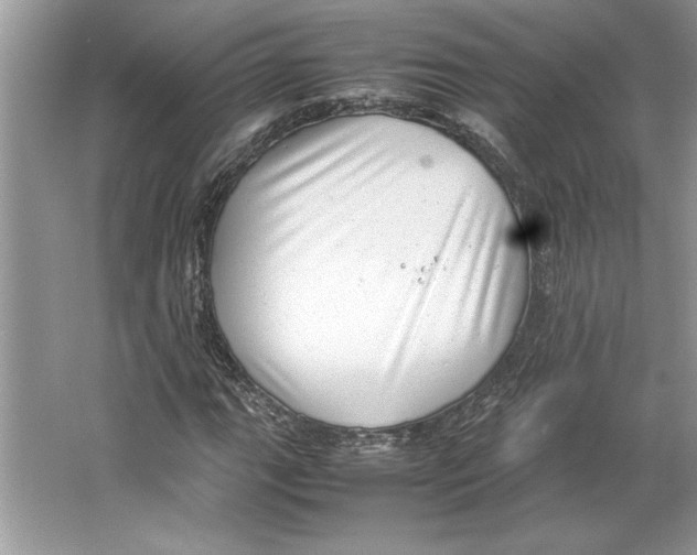 X0000064751111200603031726