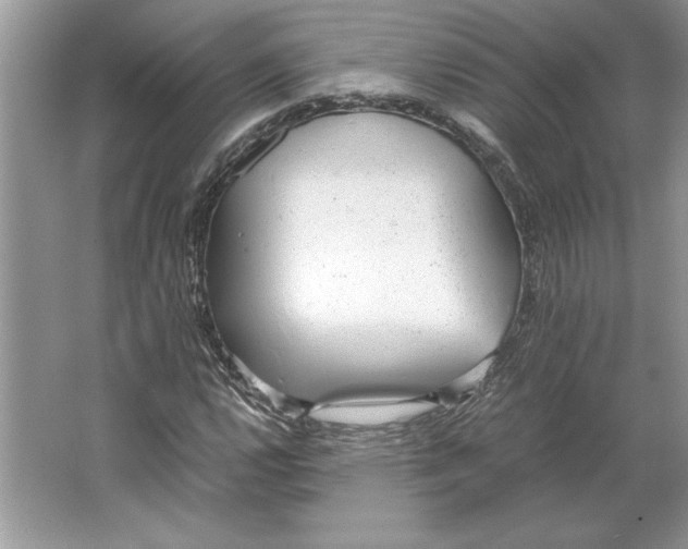 X0000064751112200603031726