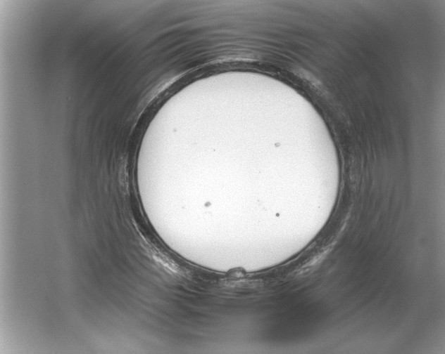 X0000064751113200603031726