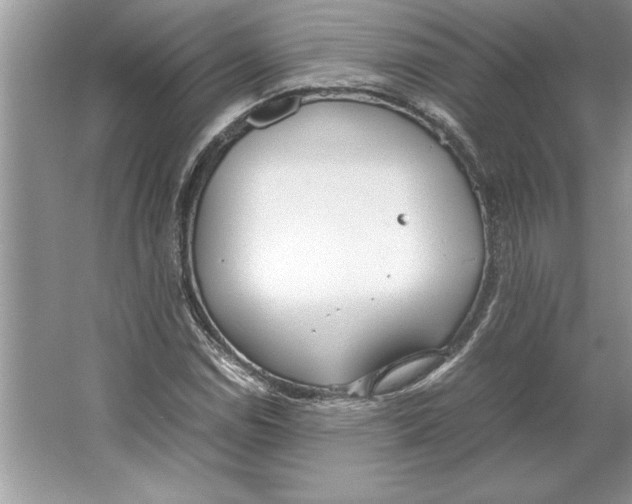 X0000064751114200603031726