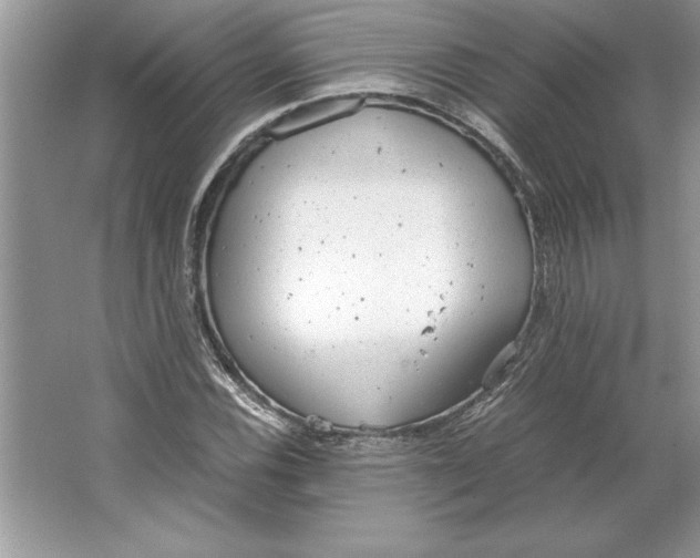 X0000064751116200603031726