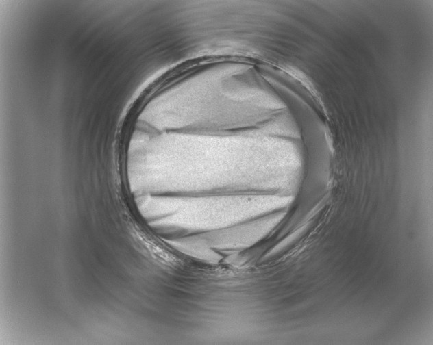 X0000064751120200603031726