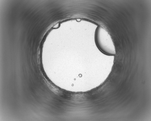 X0000064751126200603031726