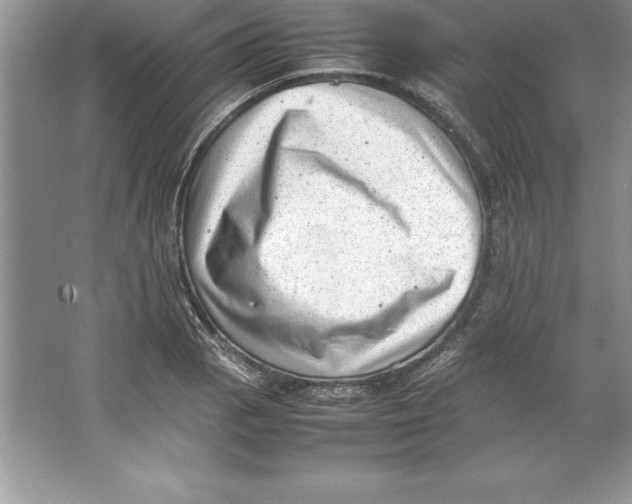 X0000064751129200603031726