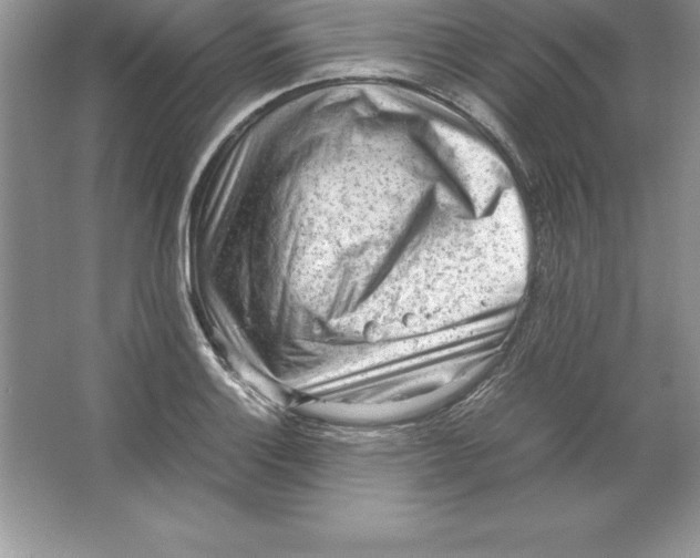 X0000064751132200603031726